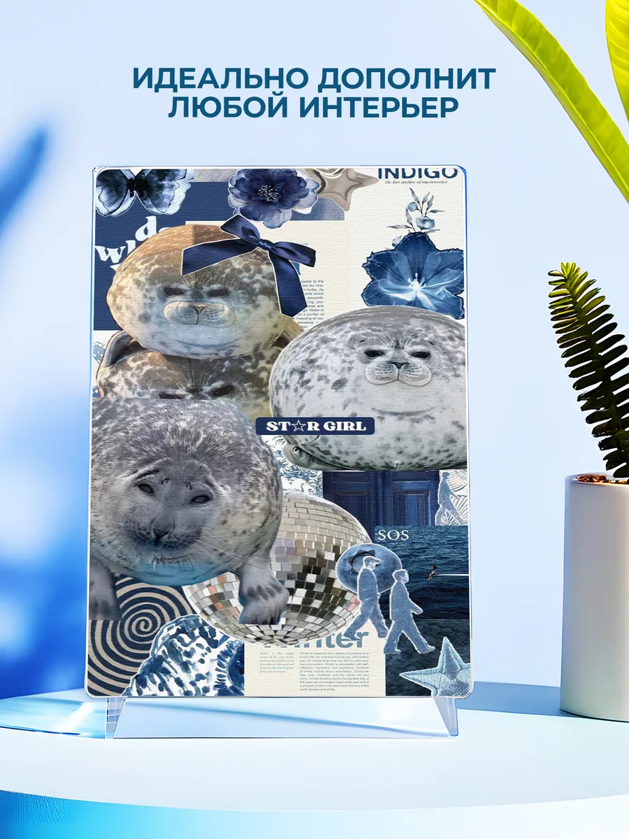 Изображение товара 4 из 4