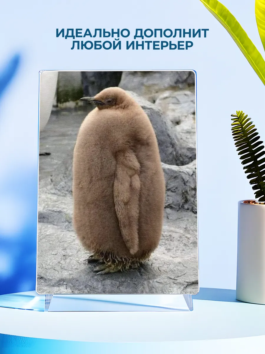 Изображение товара 4 из 4
