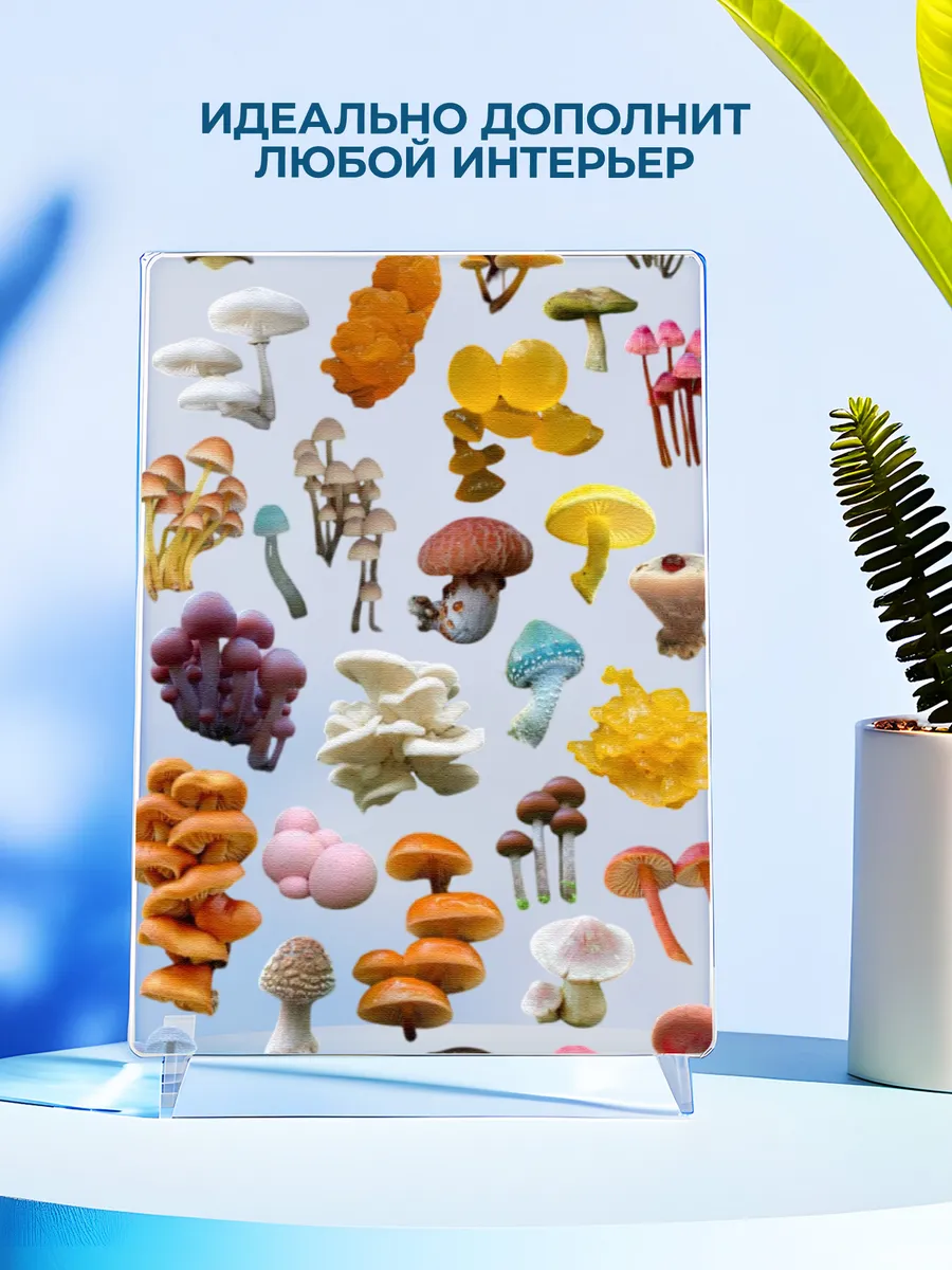 Изображение товара 4 из 4