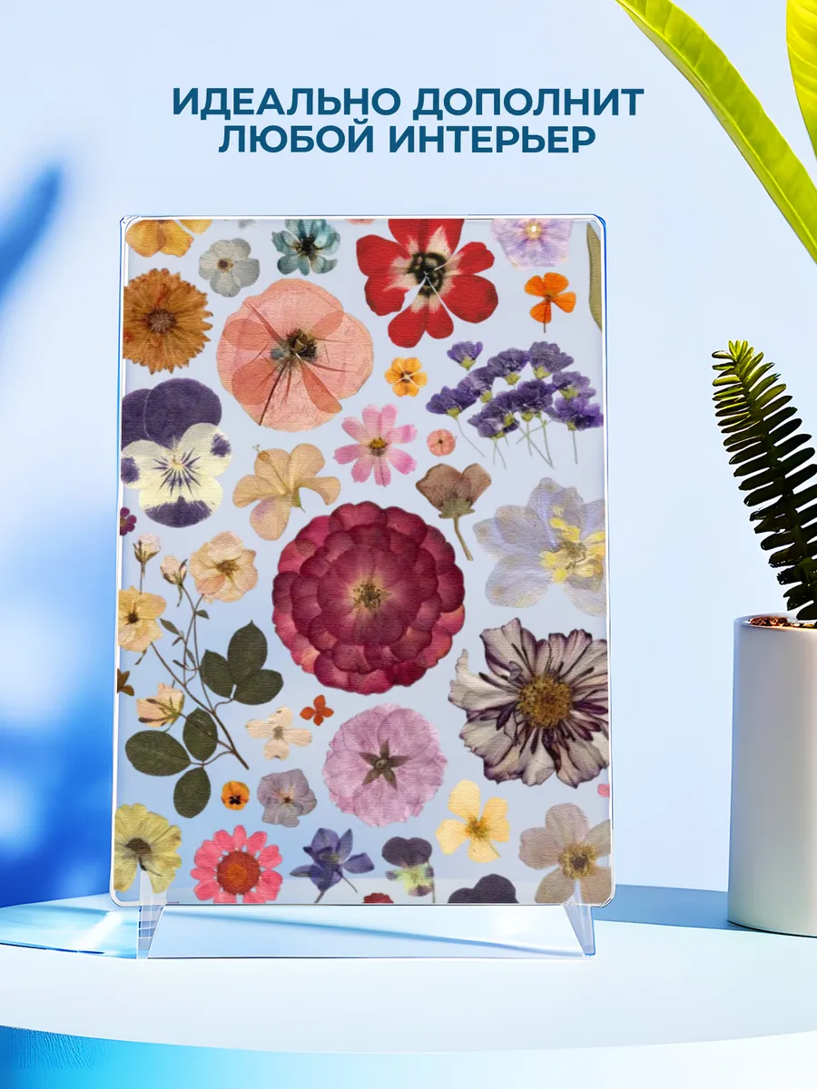 Изображение товара 4 из 4