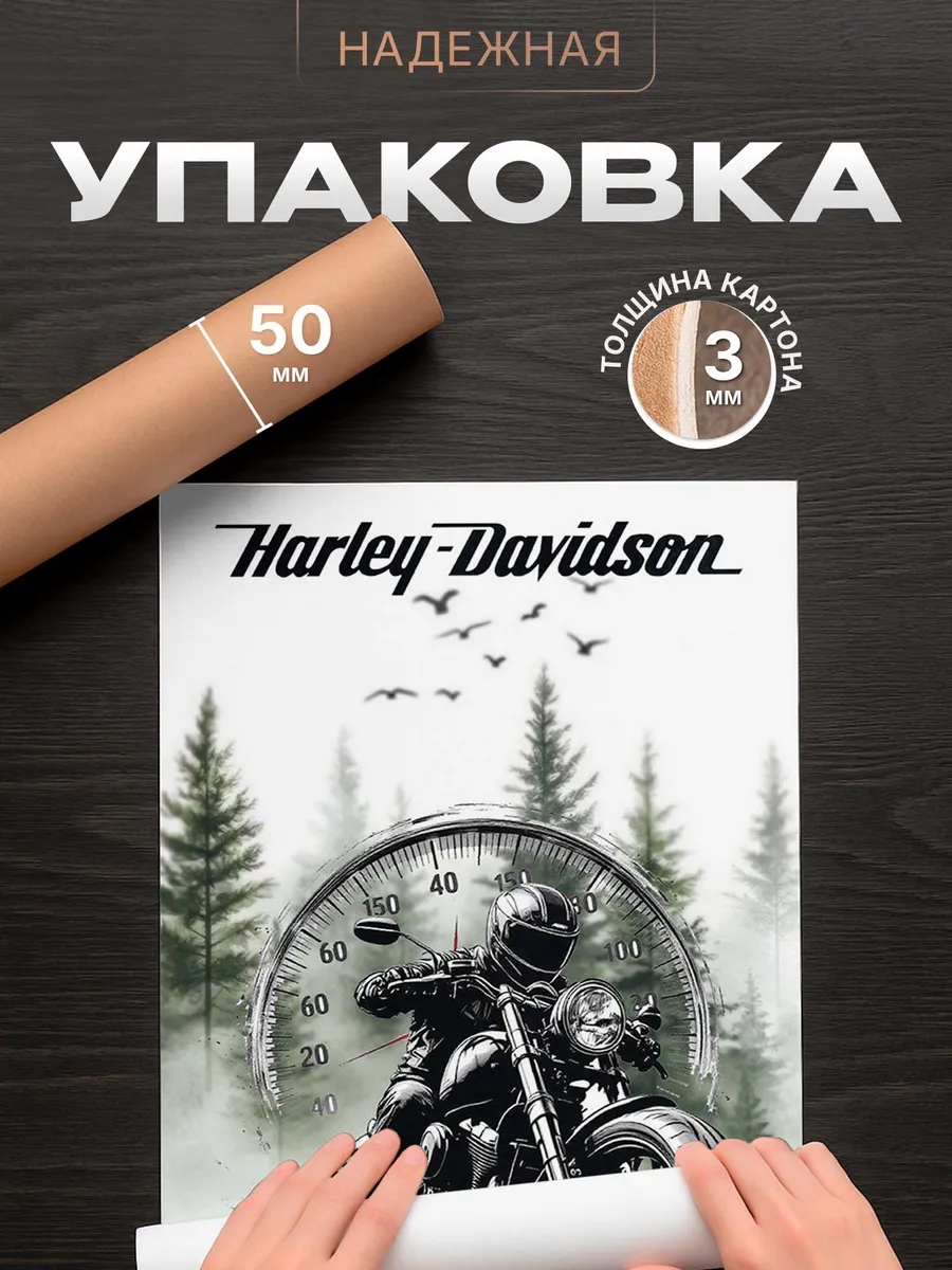 Изображение товара 4 из 4