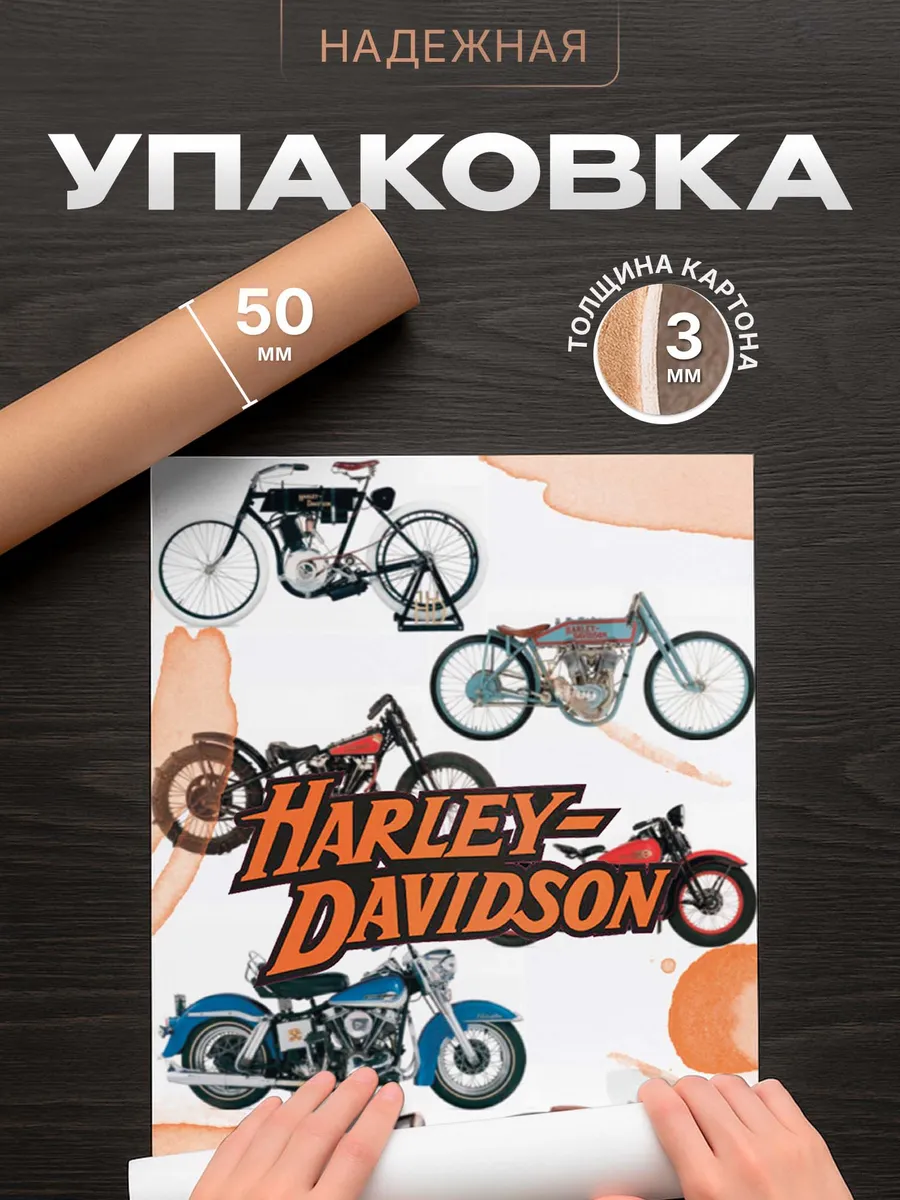 Изображение товара 4 из 4