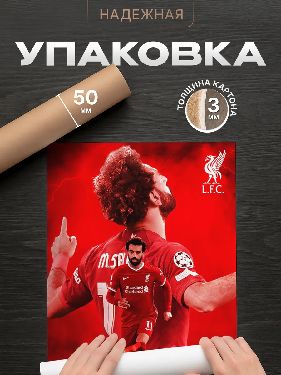 Изображение товара 4 из 4