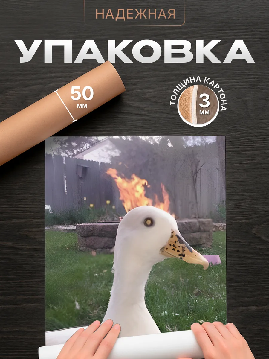 Изображение товара 4 из 4