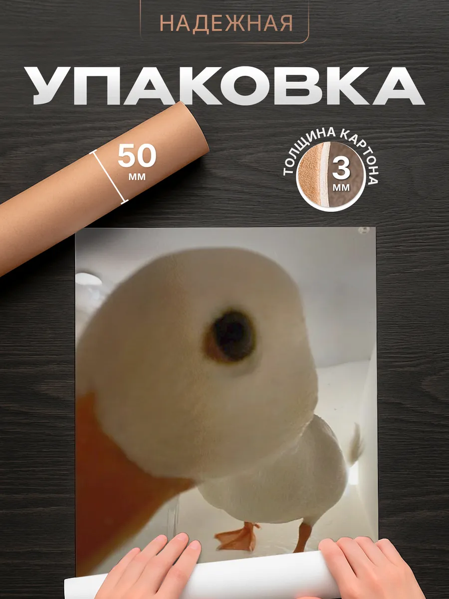 Изображение товара 4 из 4