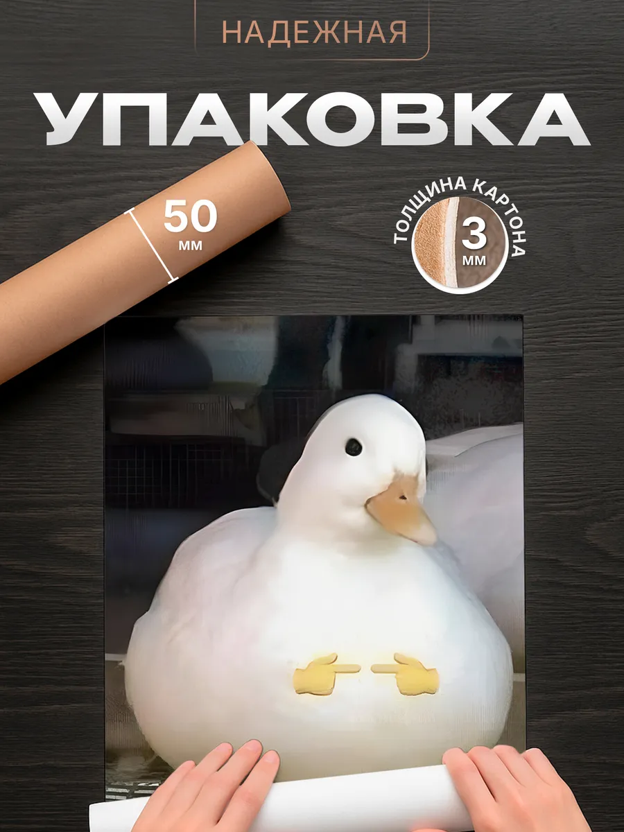 Изображение товара 4 из 4