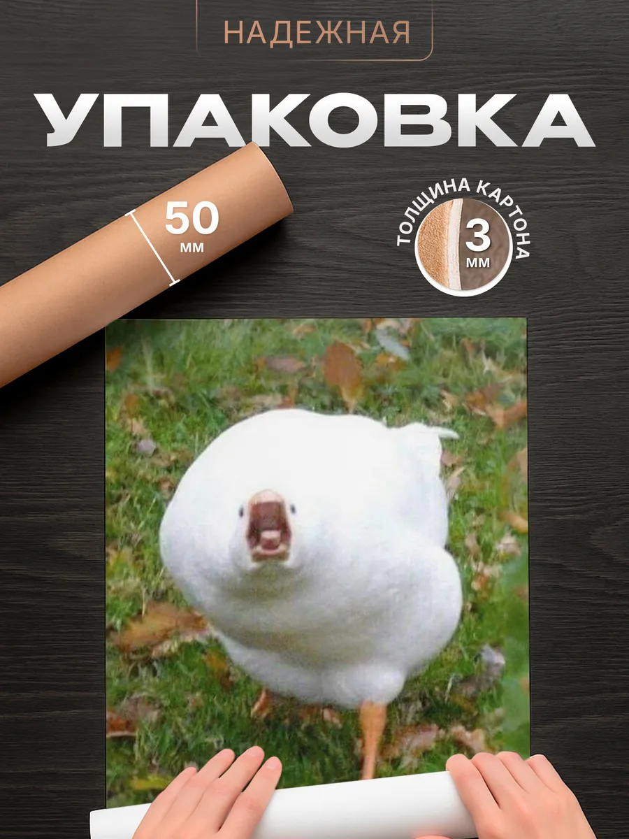 Изображение товара 4 из 4