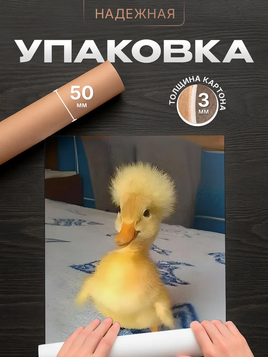 Изображение товара 4 из 4