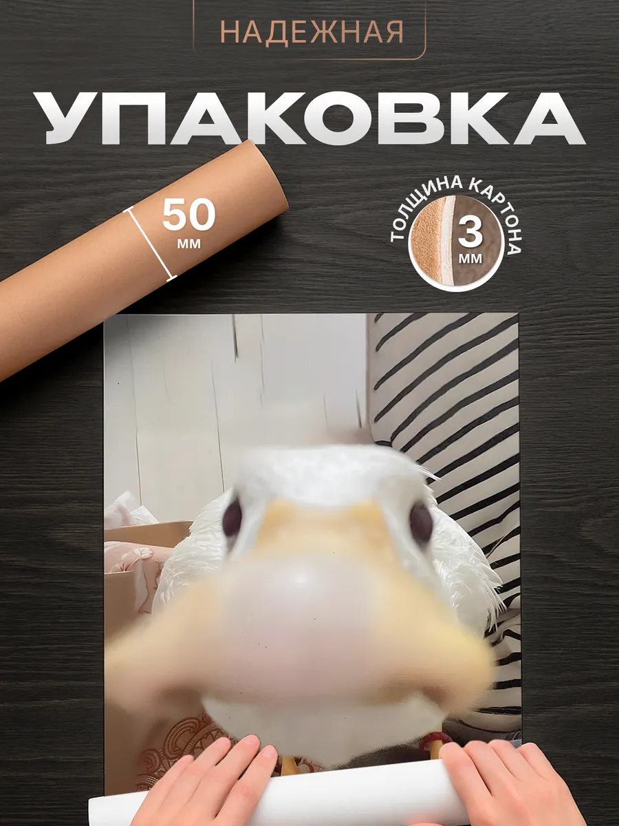 Изображение товара 4 из 4