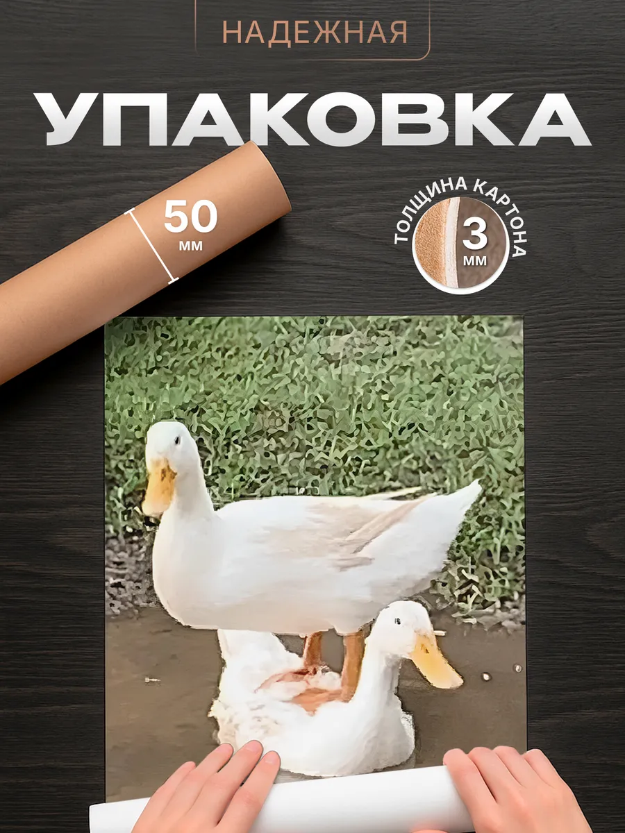 Изображение товара 4 из 4