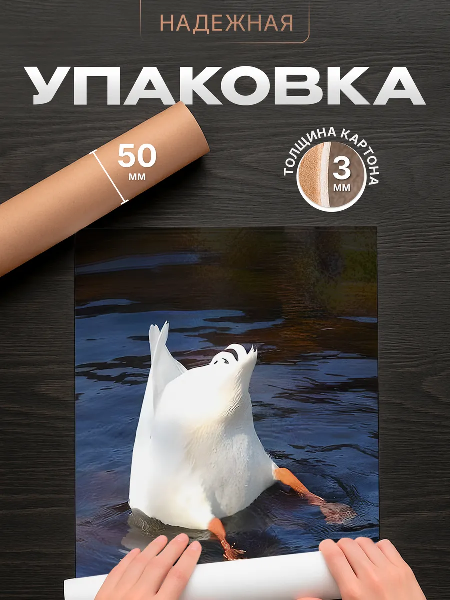 Изображение товара 4 из 4