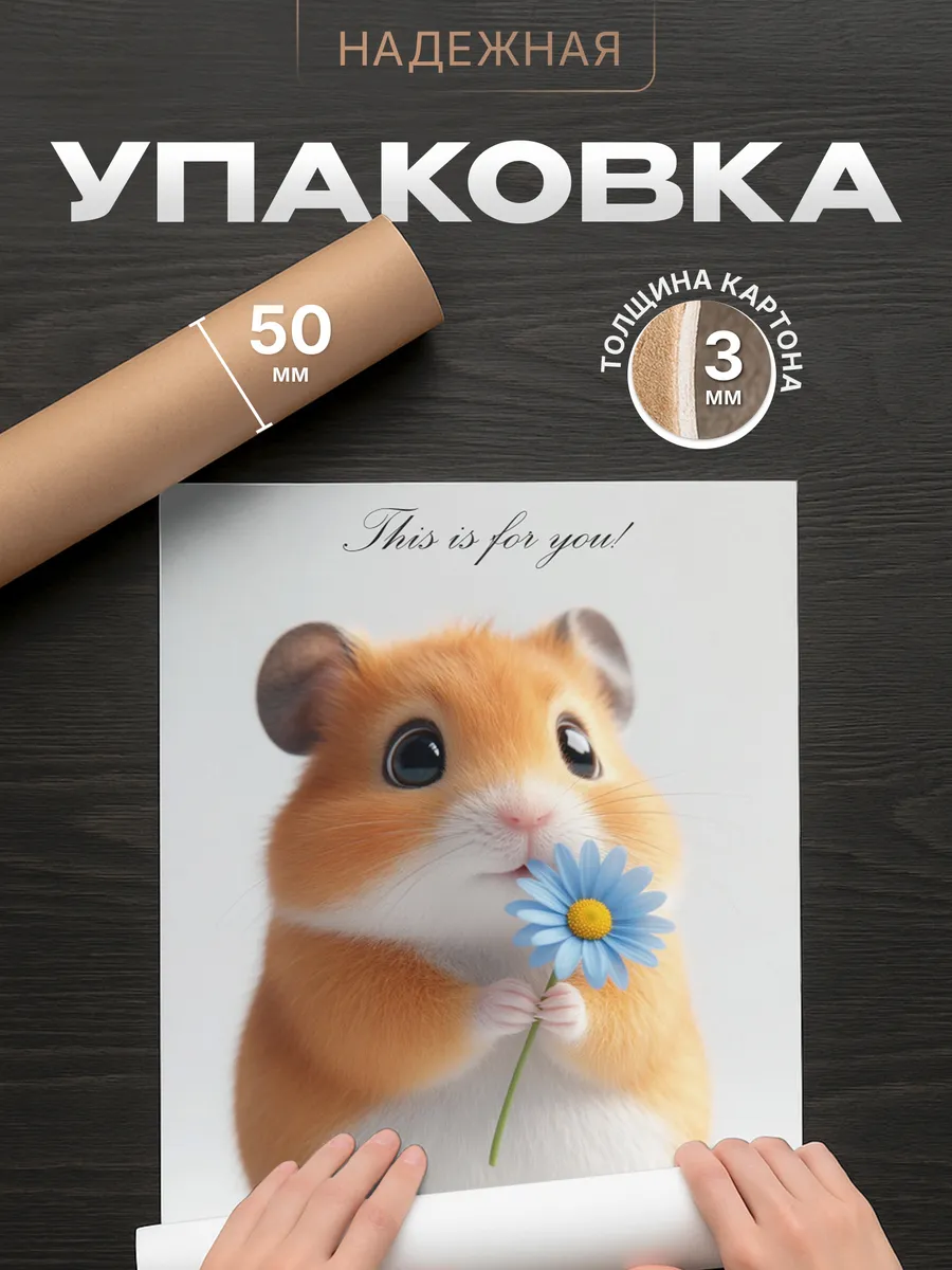 Изображение товара 4 из 4