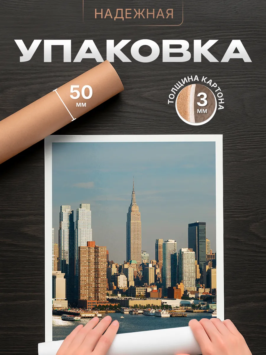 Изображение товара 4 из 4