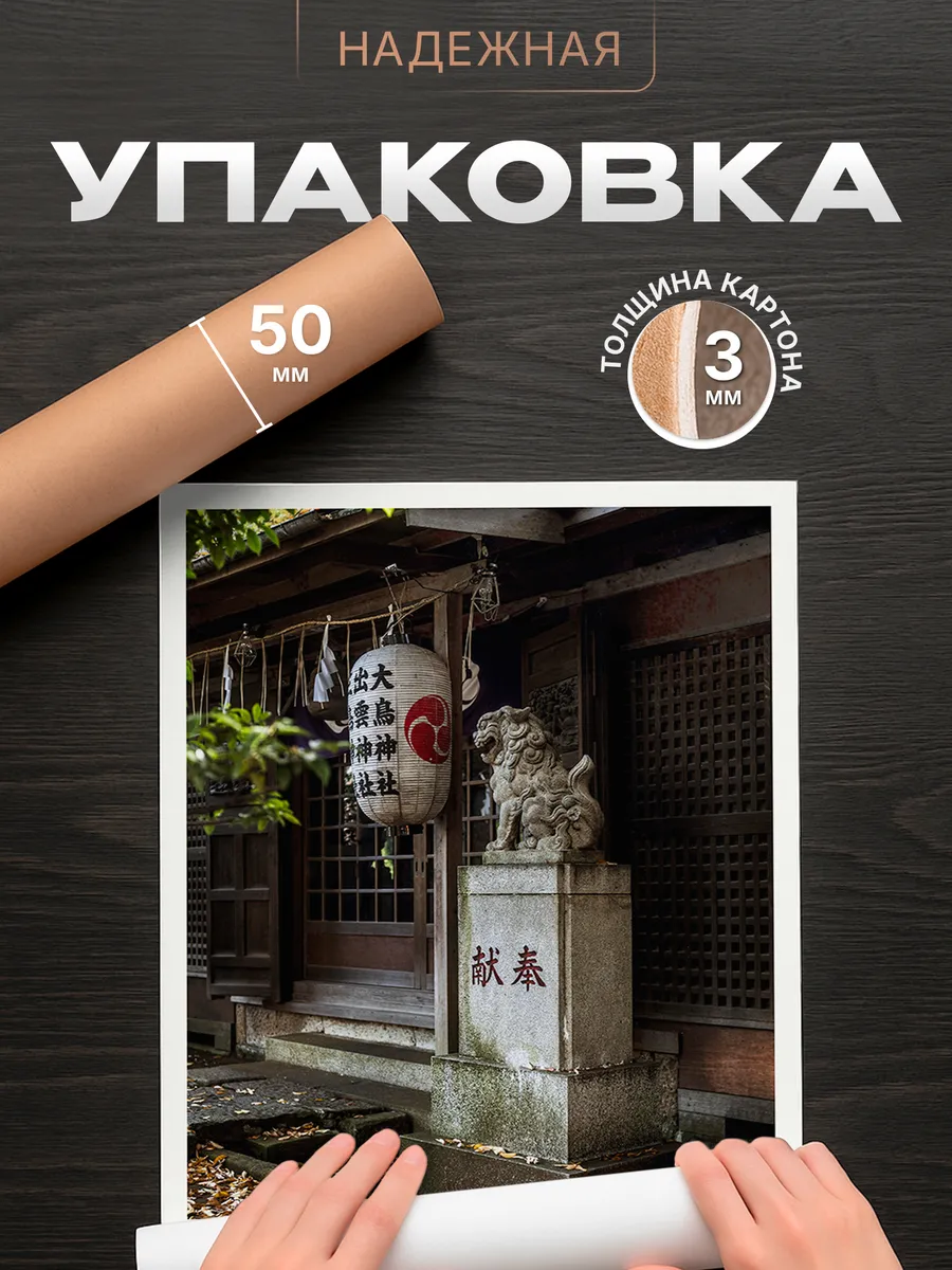 Изображение товара 4 из 4