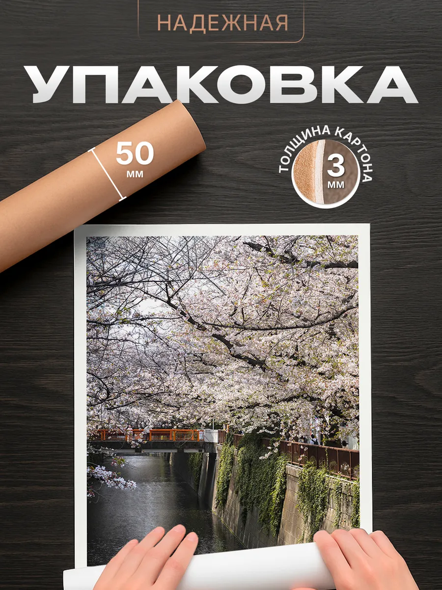 Изображение товара 4 из 4