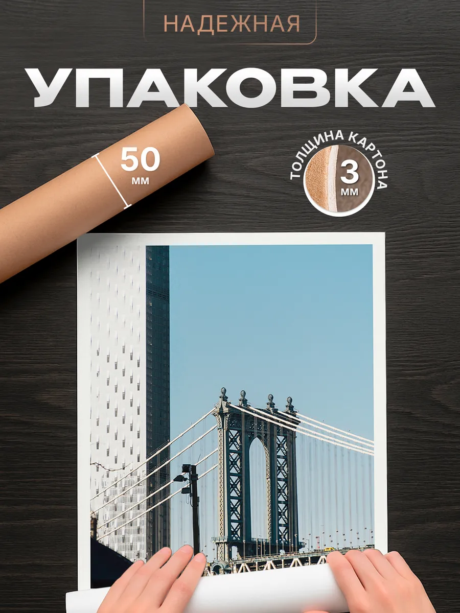 Изображение товара 4 из 4