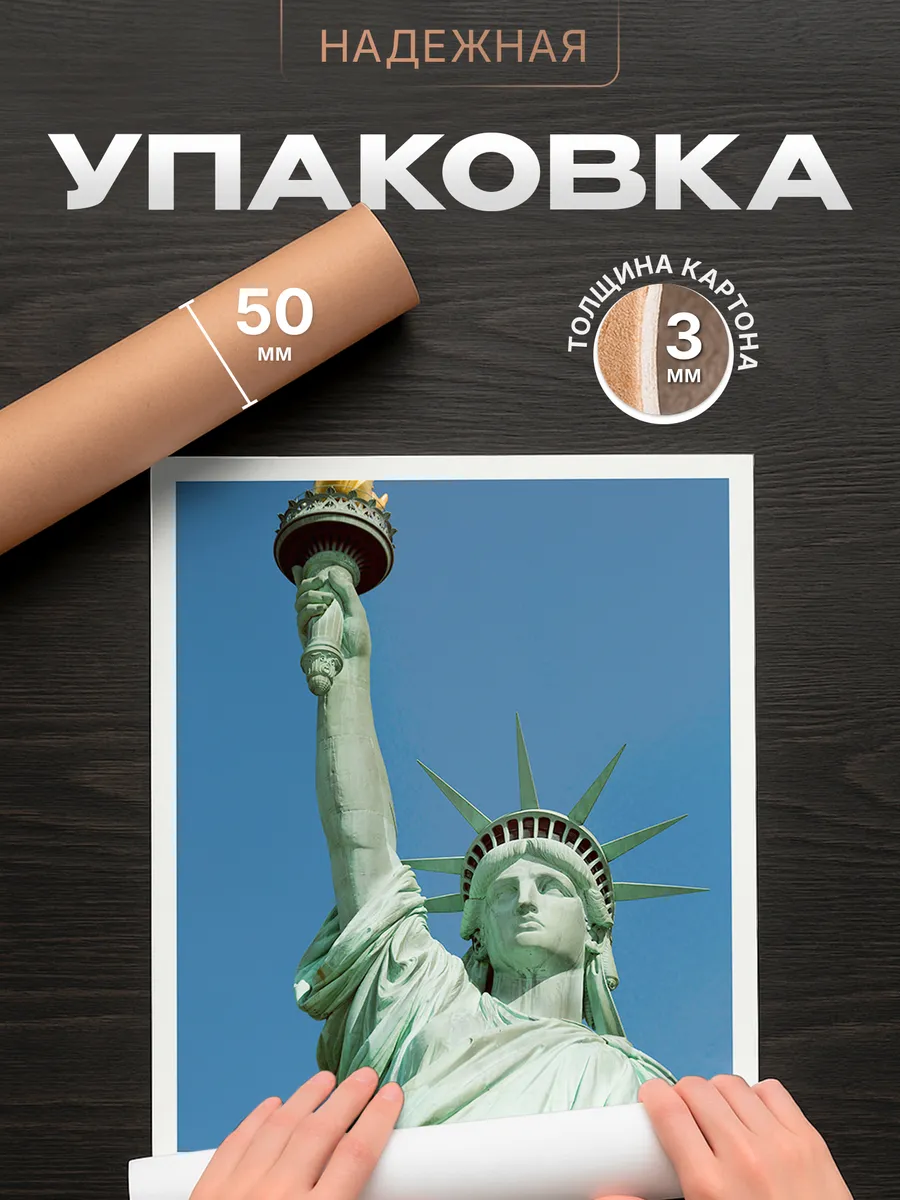 Изображение товара 4 из 4
