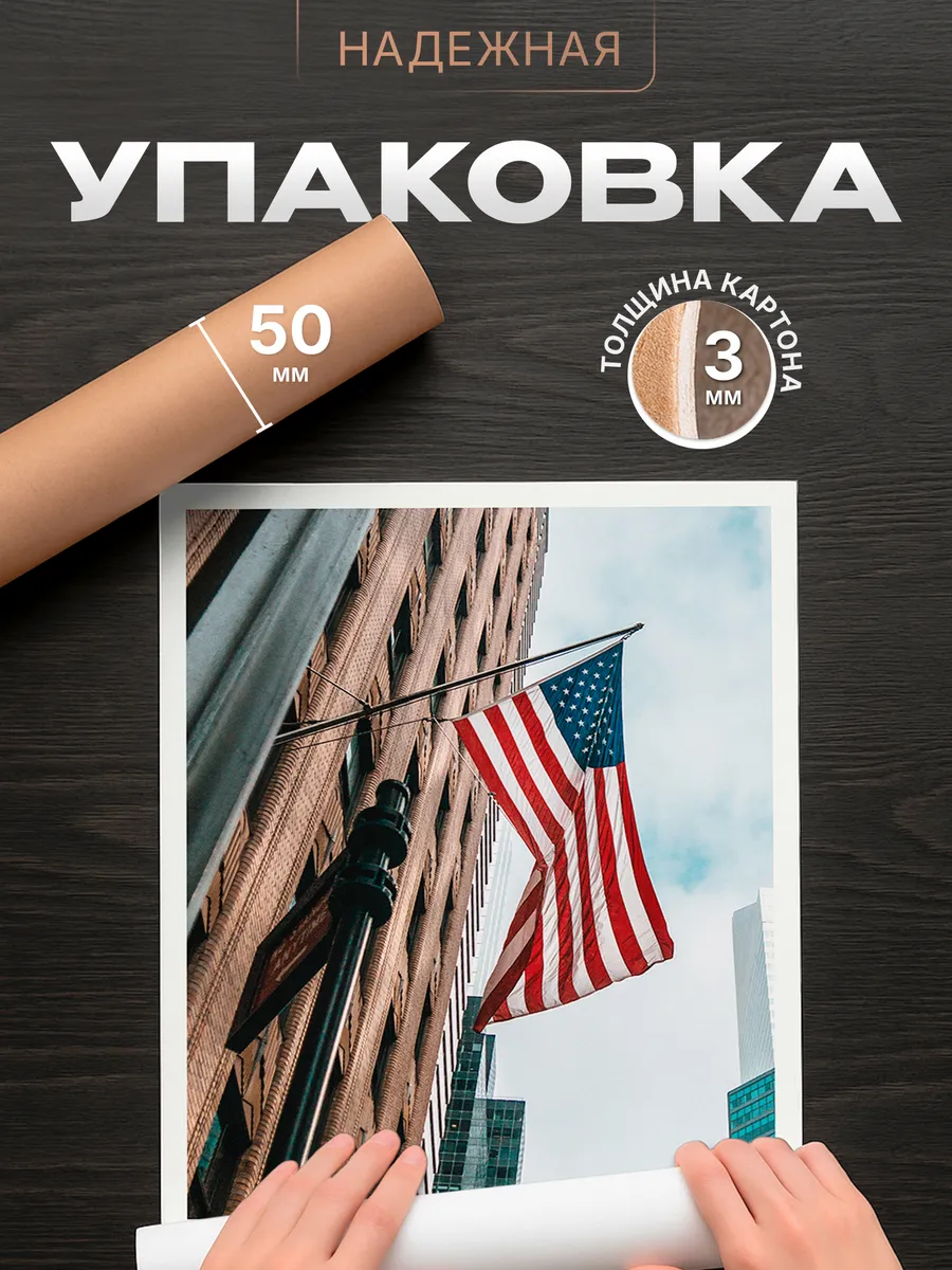 Изображение товара 4 из 4