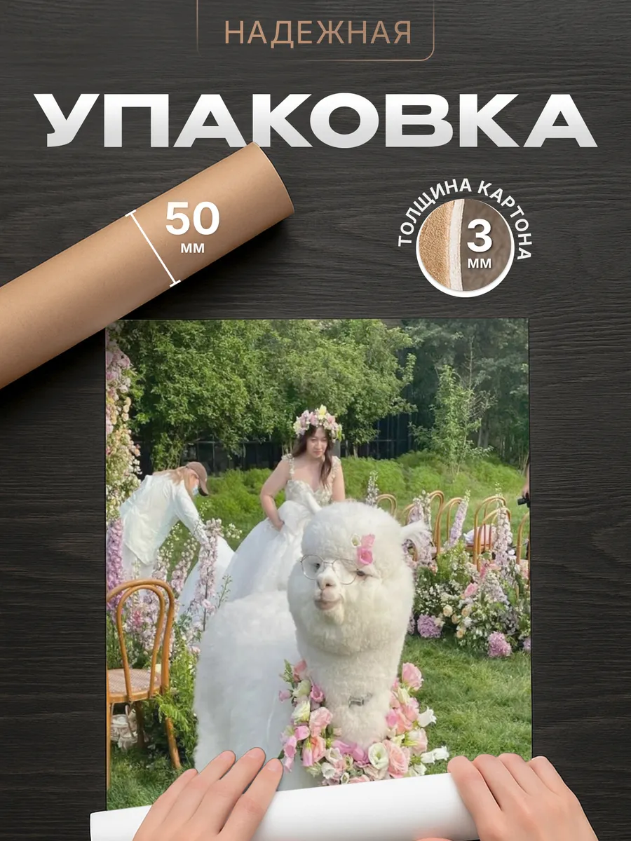 Изображение товара 4 из 4