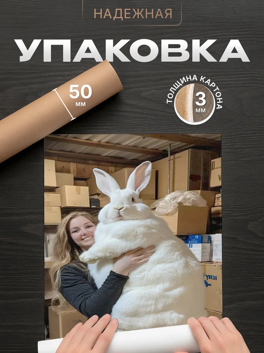 Изображение товара 4 из 4