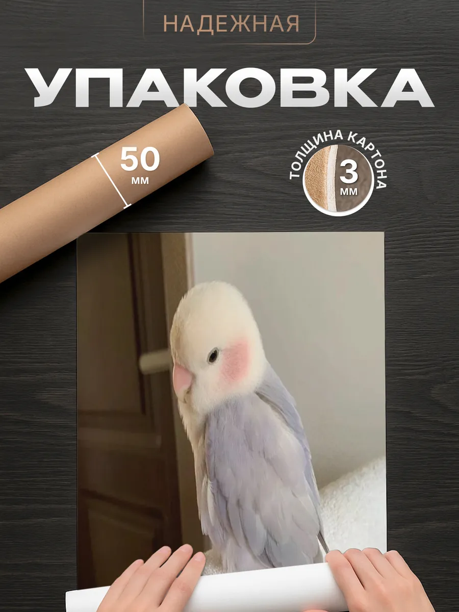 Изображение товара 4 из 4