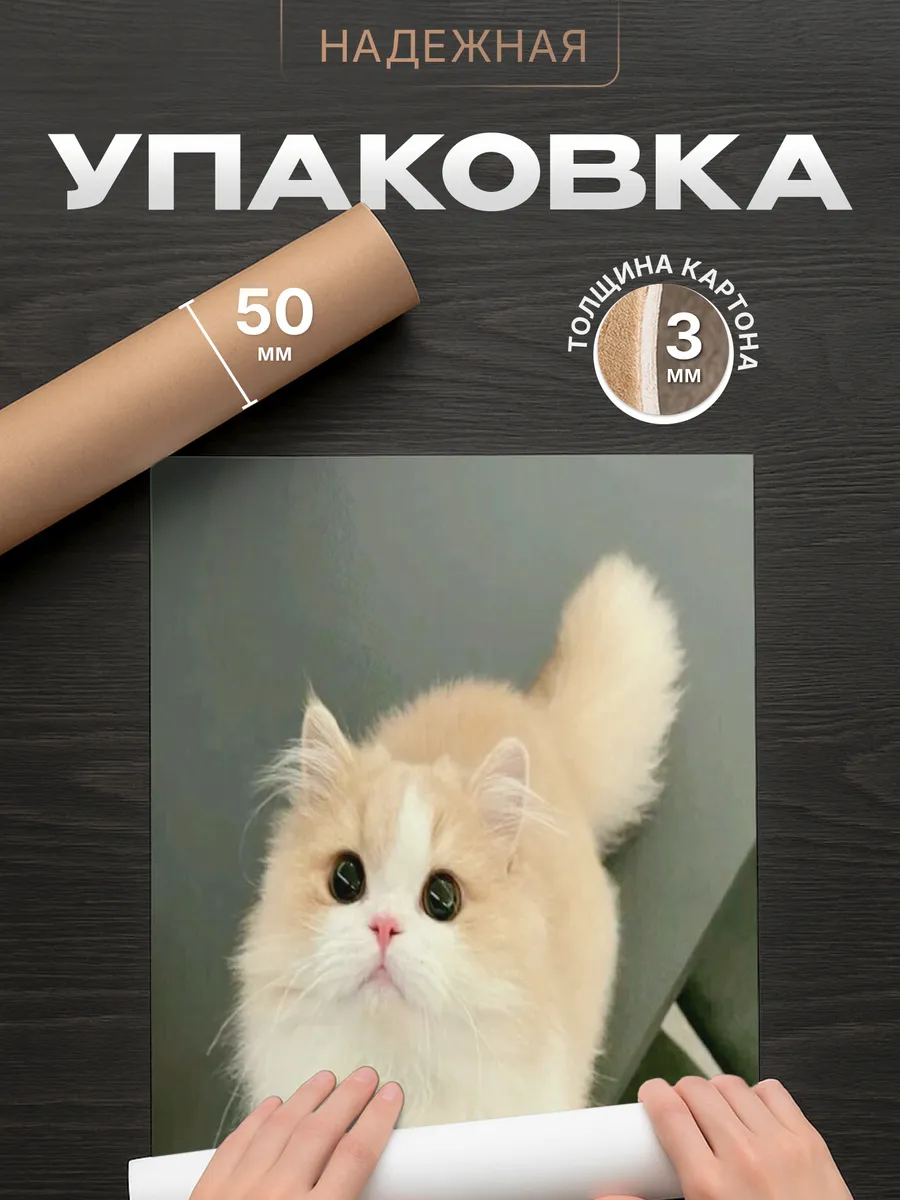 Изображение товара 4 из 4