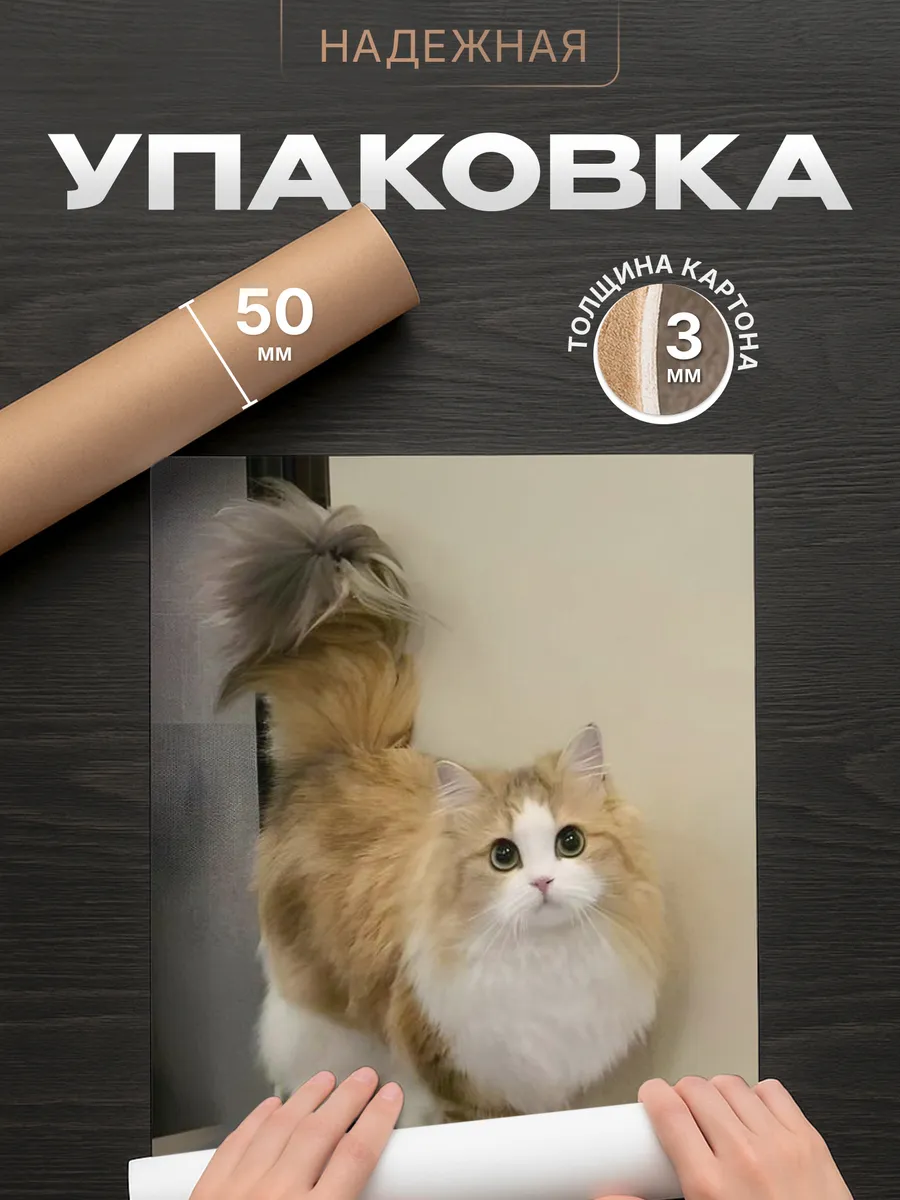 Изображение товара 4 из 4