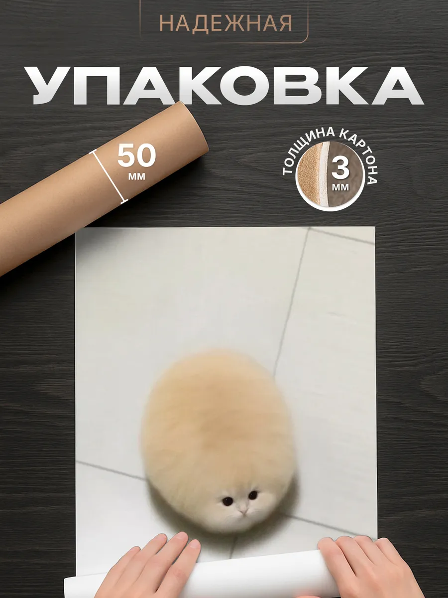 Изображение товара 4 из 4