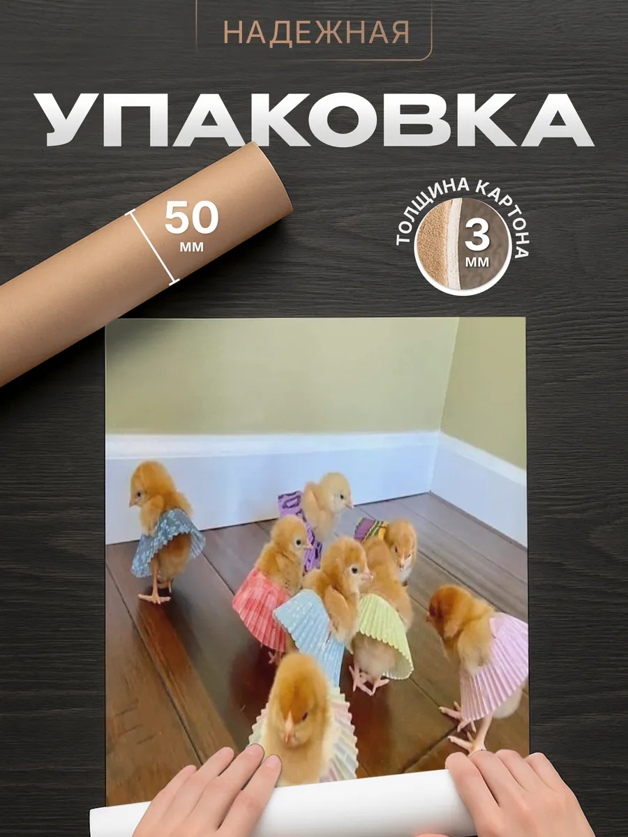 Изображение товара 4 из 4