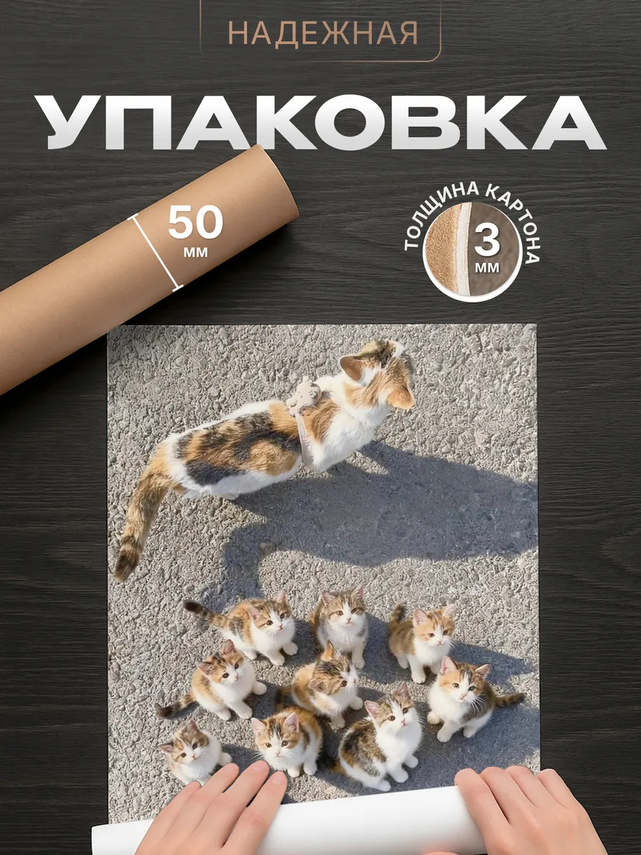Изображение товара 4 из 4