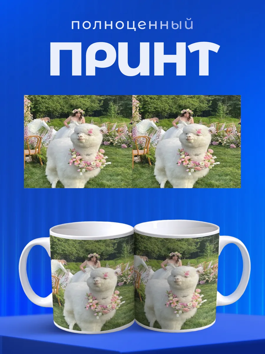 Изображение товара 4 из 6