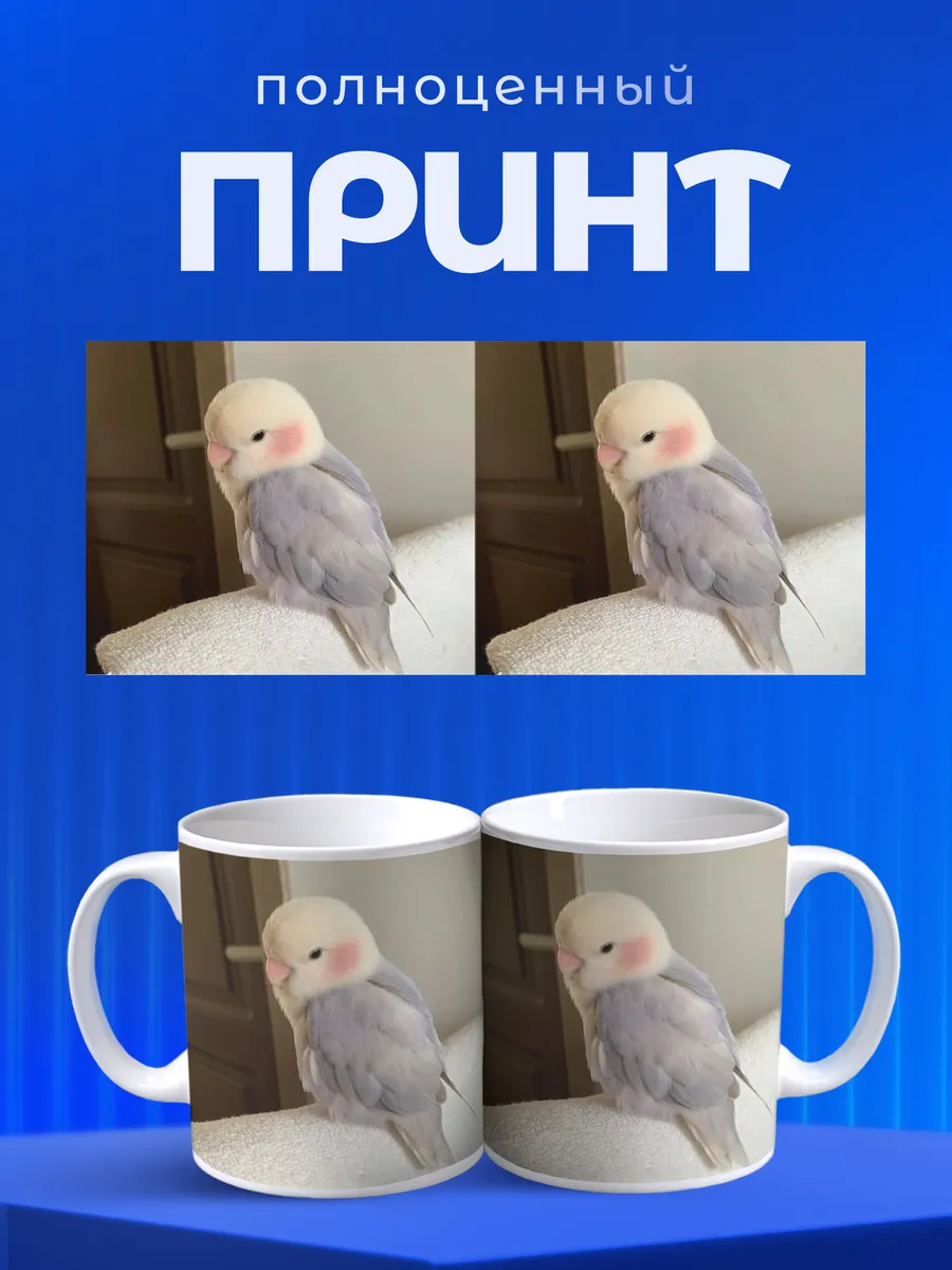 Изображение товара 4 из 6