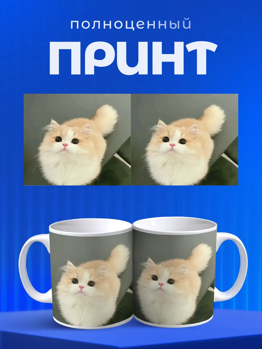 Изображение товара 4 из 6