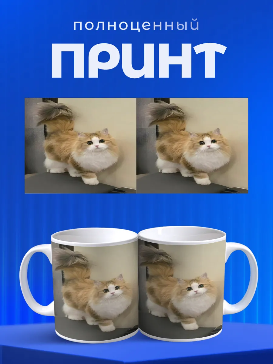 Изображение товара 4 из 6