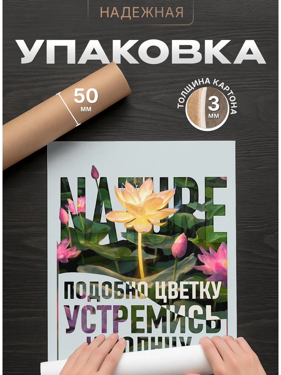 Изображение товара 4 из 4