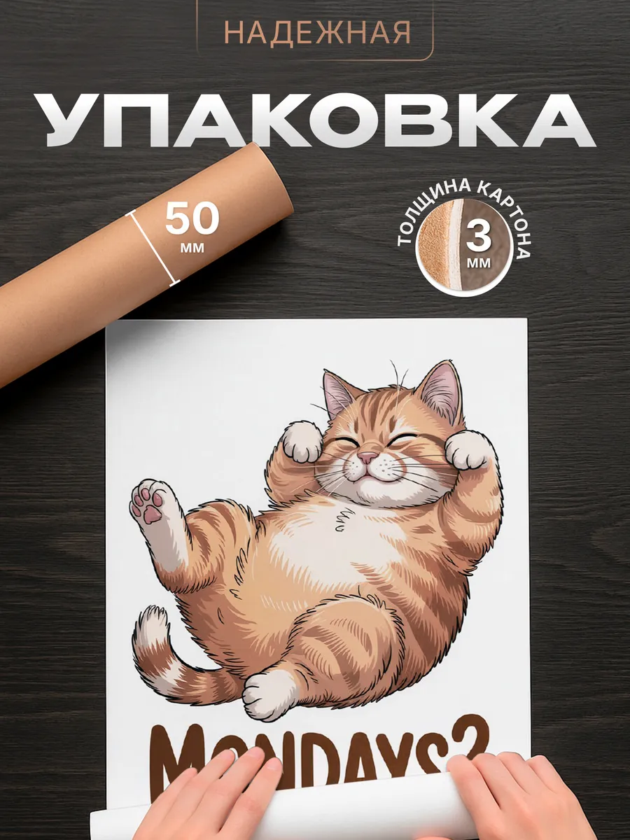 Изображение товара 4 из 4