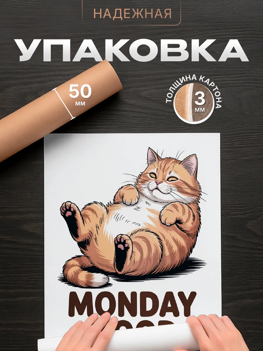 Изображение товара 4 из 4