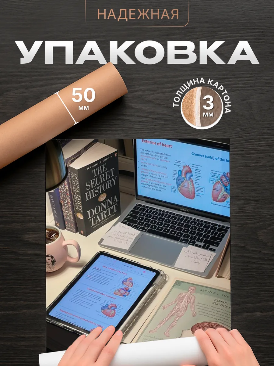 Изображение товара 4 из 4