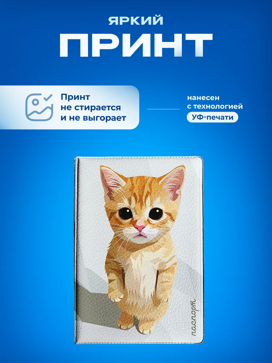 Изображение товара 5 из 5