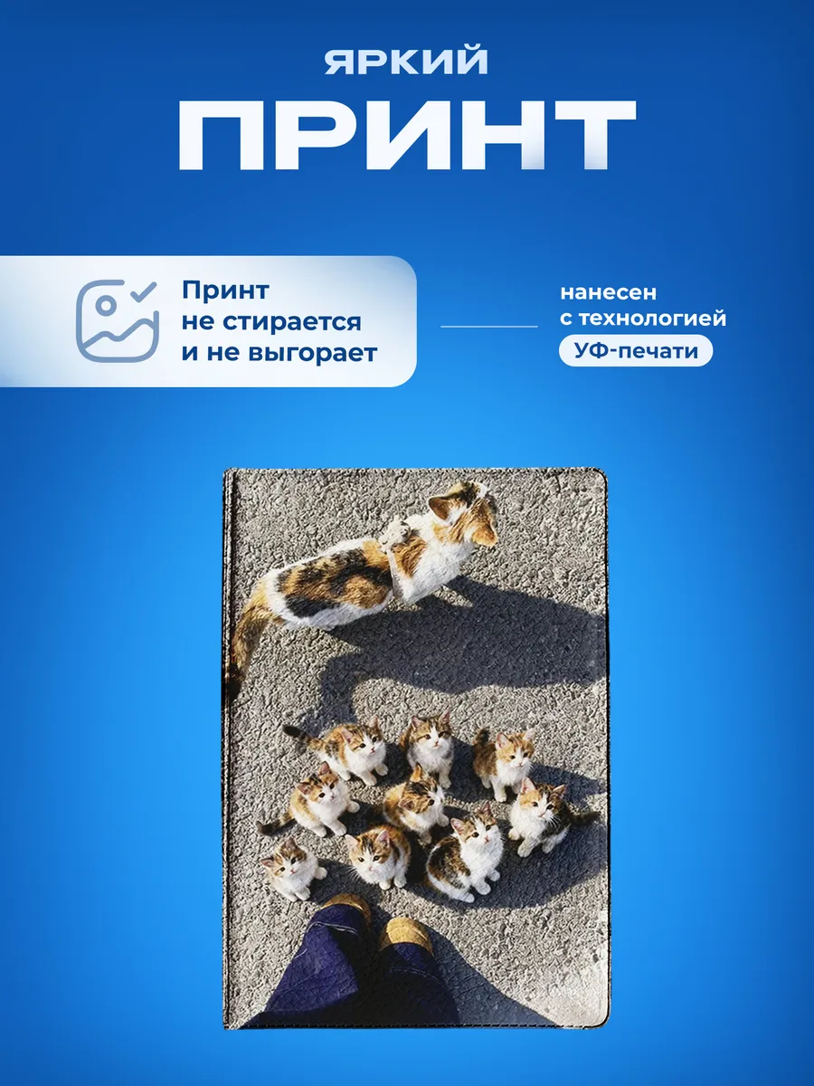 Изображение товара 5 из 5