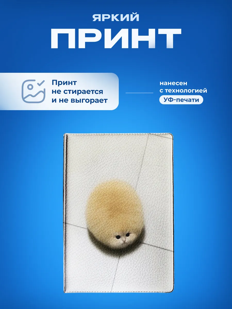 Изображение товара 5 из 5