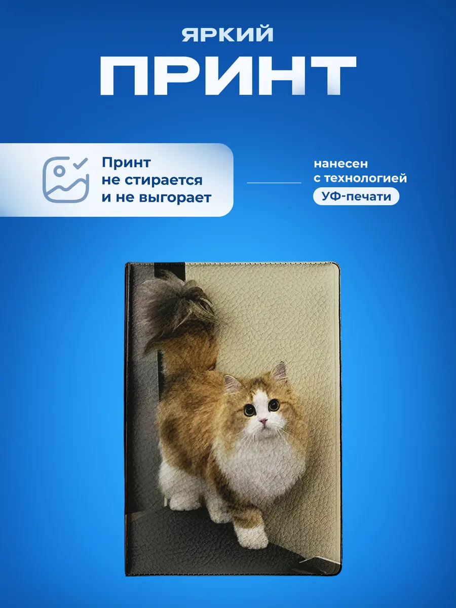Изображение товара 5 из 5