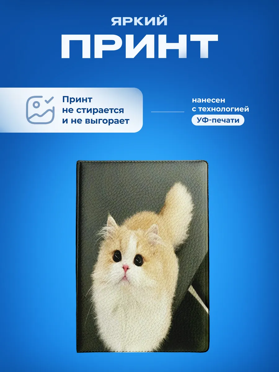 Изображение товара 5 из 5