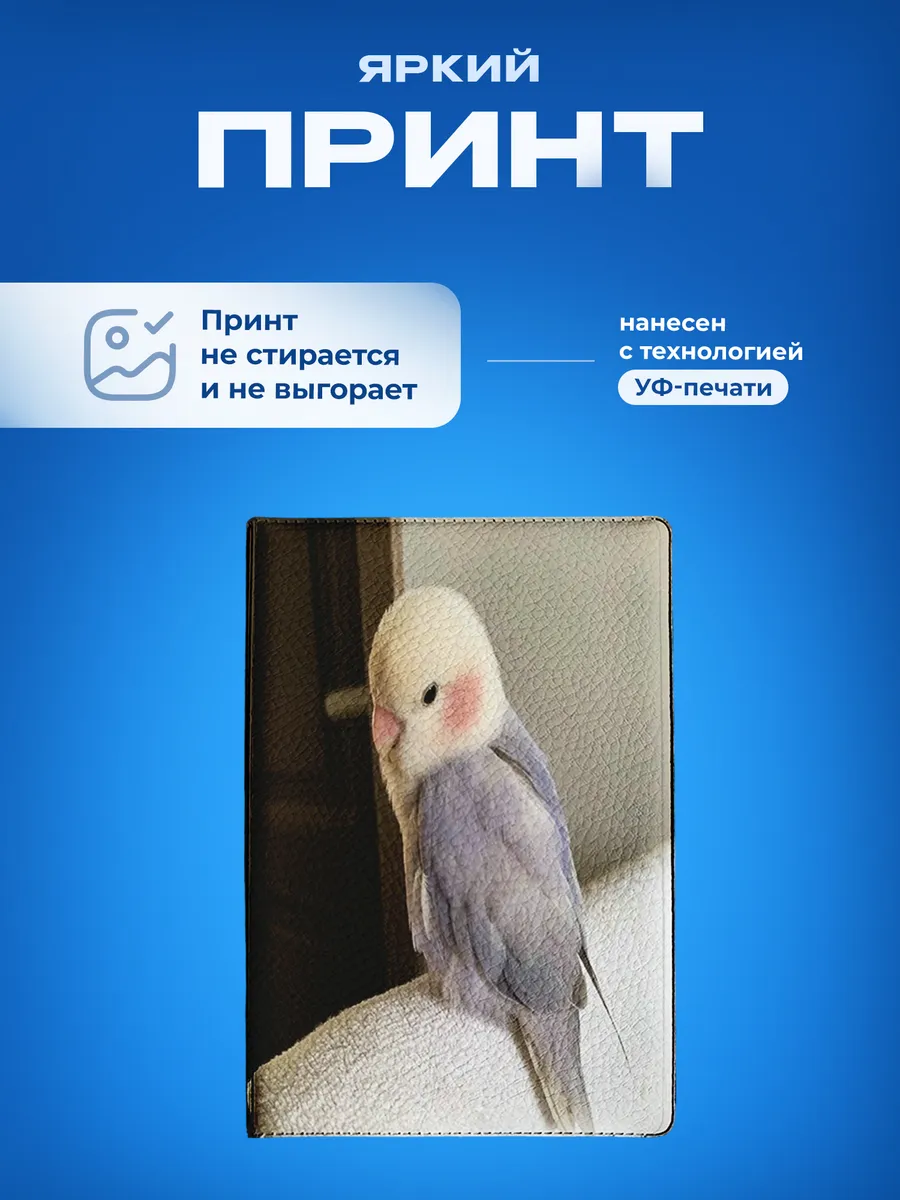 Изображение товара 5 из 5