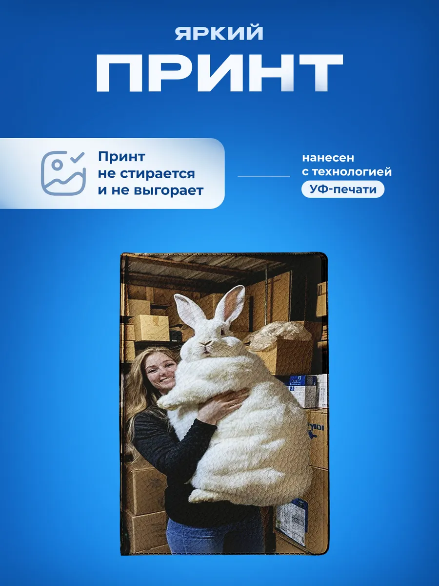 Изображение товара 5 из 5