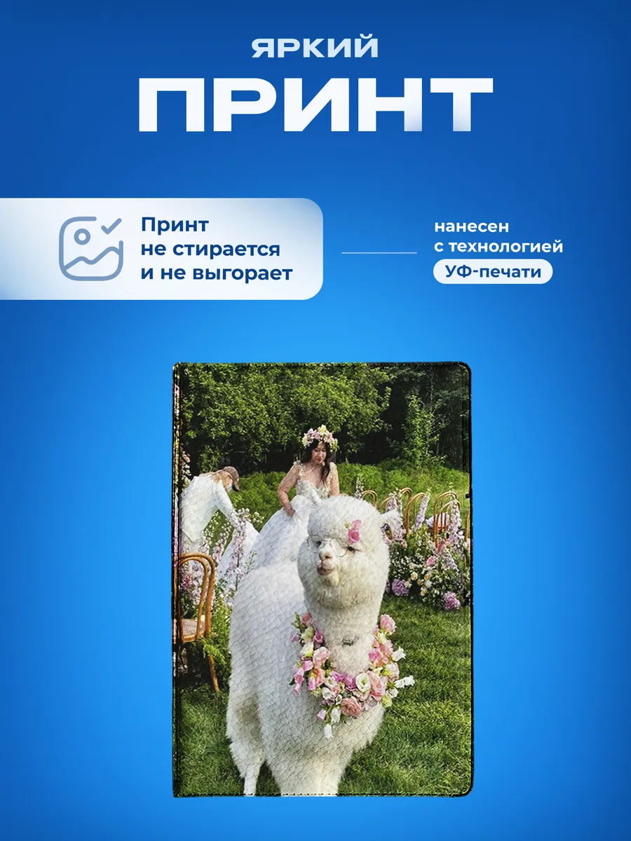 Изображение товара 5 из 5