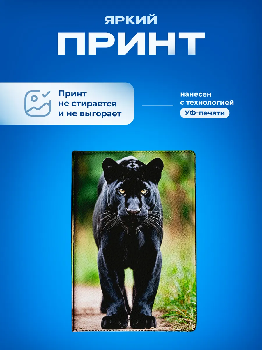 Изображение товара 5 из 5