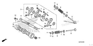 Нажмите для увеличения Camshaft@Valve