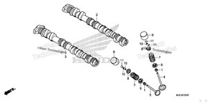Нажмите для увеличения Camshaft@Valve