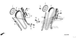 Cam Chain@Tensioner